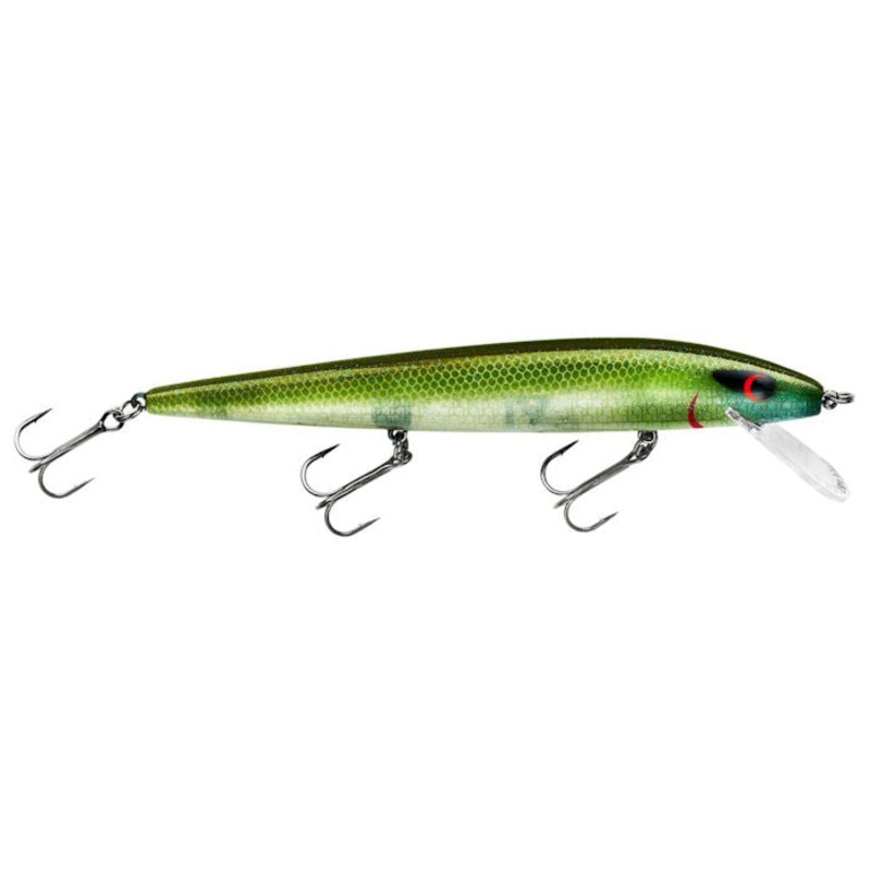 Perfect 10 Rogue_Emerald Shiner