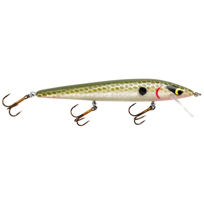 Susp. Rattlin’ Rogue_Avocado Shad