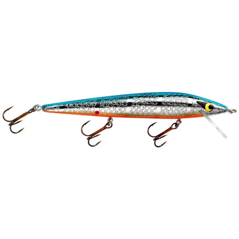 Susp. Rattlin’ Rogue_Chrome/Blue Back Orange Belly
