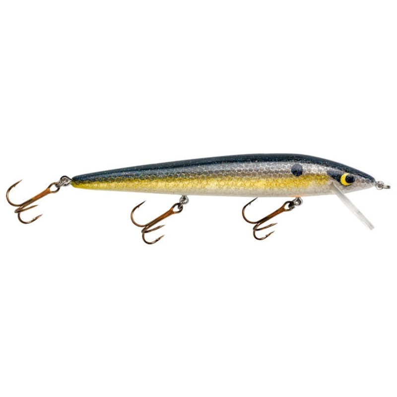 Susp. Rattlin’ Rogue_Foxy Shad
