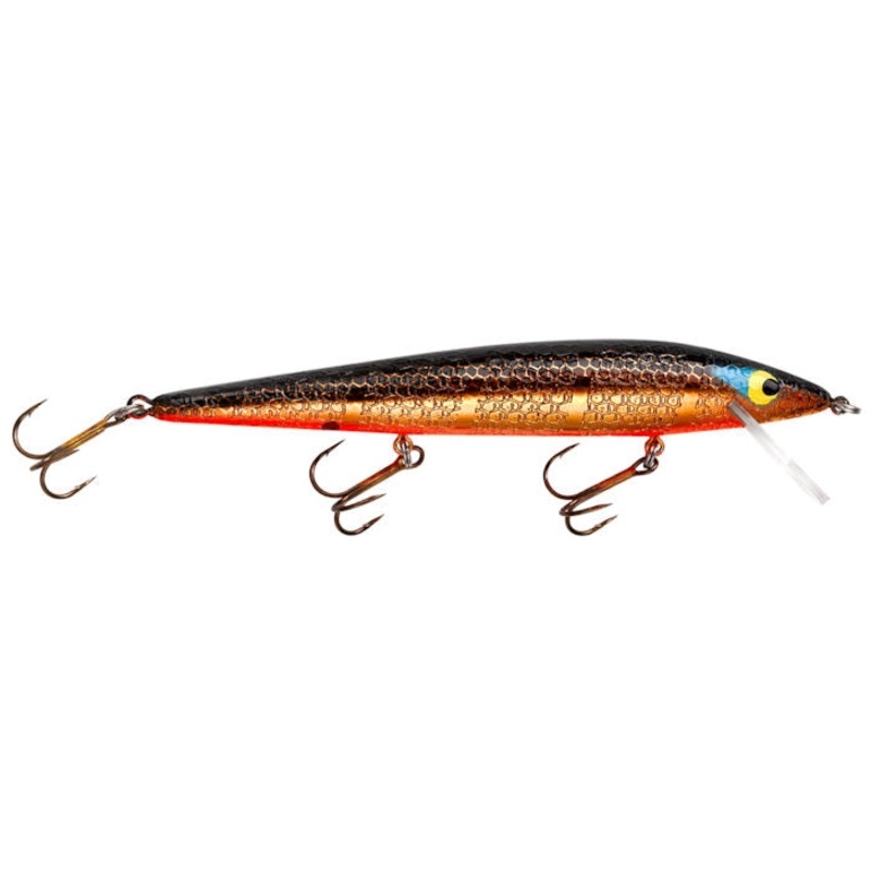 Susp. Rattlin’ Rogue_Gold Rogue