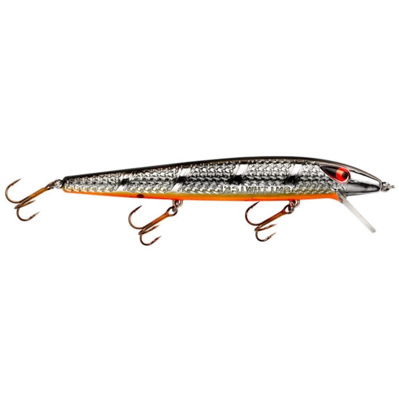Susp. Super Rogue_Chrome/Black Back Orange Belly