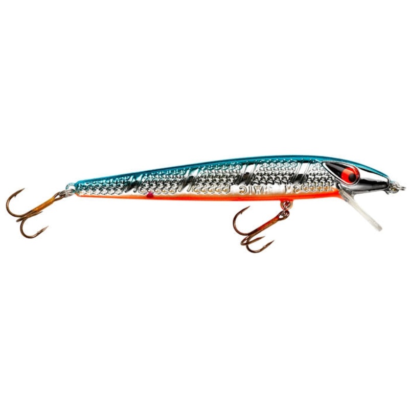 Susp. Super Rogue Jr._Chrome/Blue Back Orange Belly