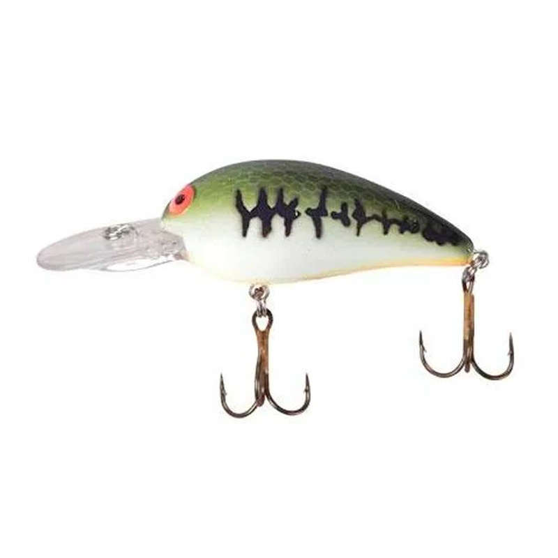 Deep Flat A_Baby Bass/Orange Belly*