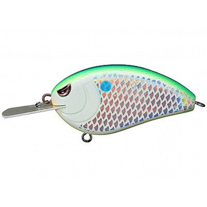 Little John XL 70_Citrus Shad*