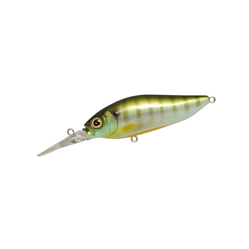 Diving Flap Slap_Gill|3″