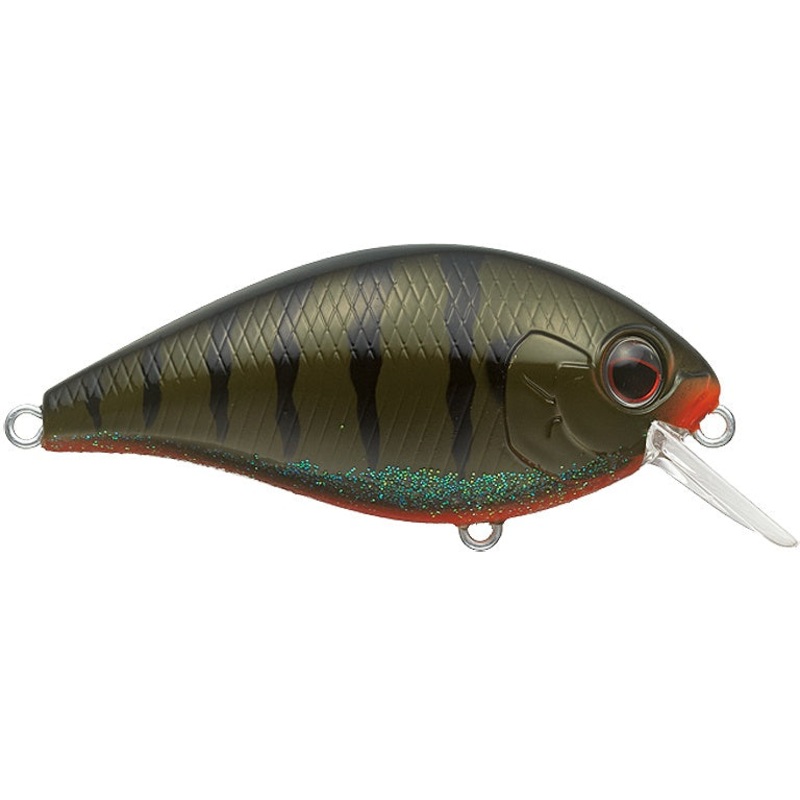 SH-3 Crankbait_Green Pumpkin Gill