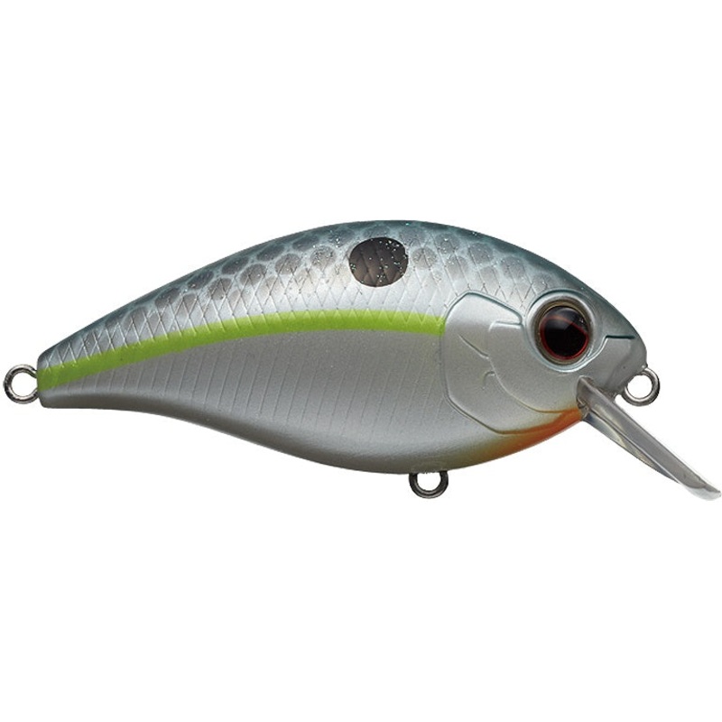 SH-3 Crankbait_Queen Shad|SH-3