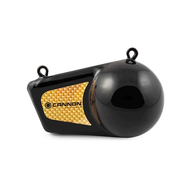 Cannon Flash Weight|10 lb|12 lb