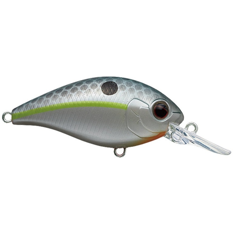 CR-6 Crankbait_Queen Shad|CR-6