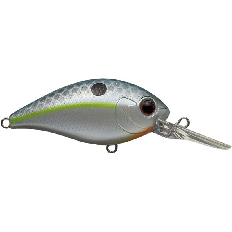 CR-8 Crankbait_Queen Shad|CR-8