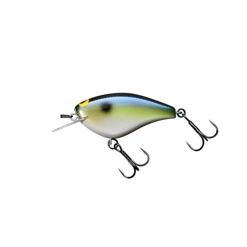 Shimano BLING 55
