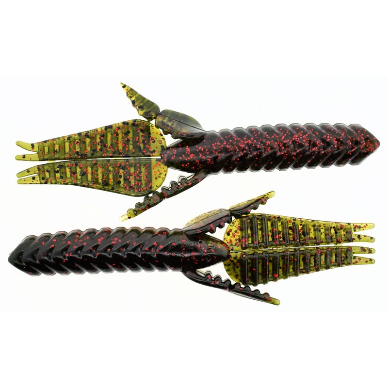 Why Not_Florida Five-O|4.5″