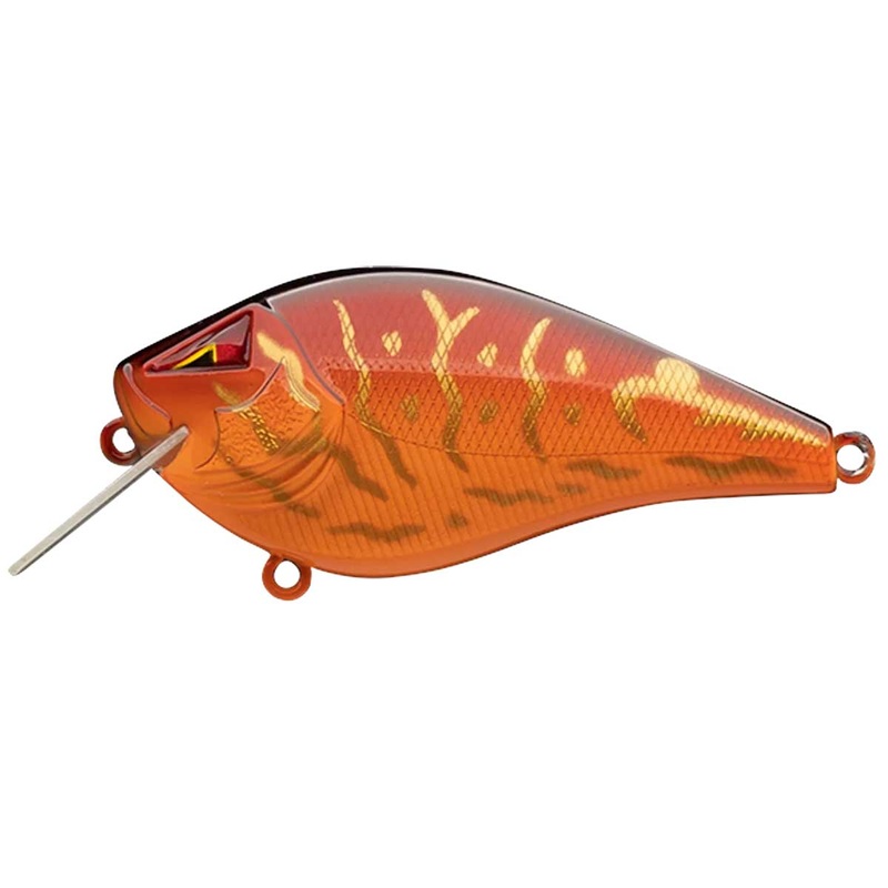 Ark Z-Alpha_Golden Craw*|1.5|2.5