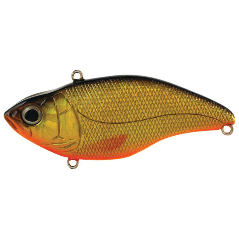 Aruku Shad_Gold Black|75