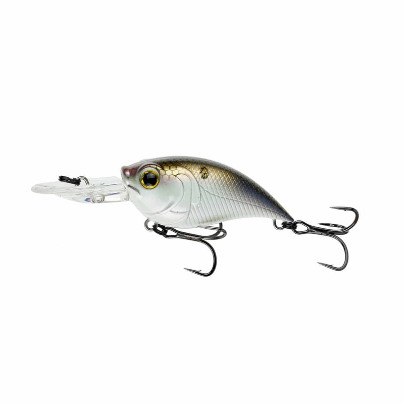 Curve 55_4K Shad|55