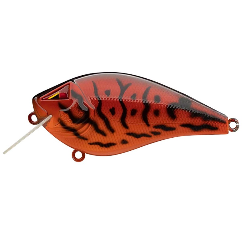 Z-Alpha_Fire Craw*|1.5|2.5