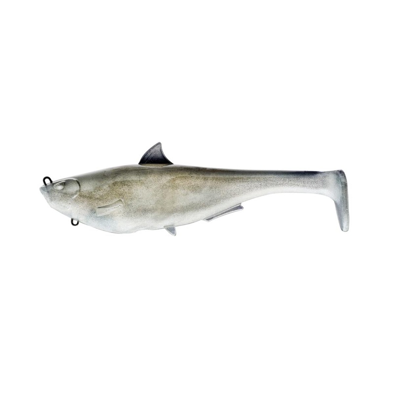 Megalojohn_Gizzard Shad|6″