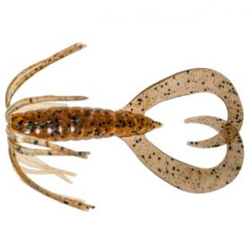 Little Spider_Blue Back Cinnamon**