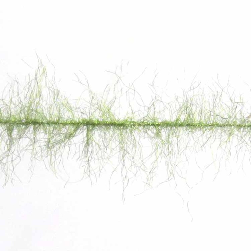 H20 Dub Flash Brush|OLIVE|GOLDEN BROWN