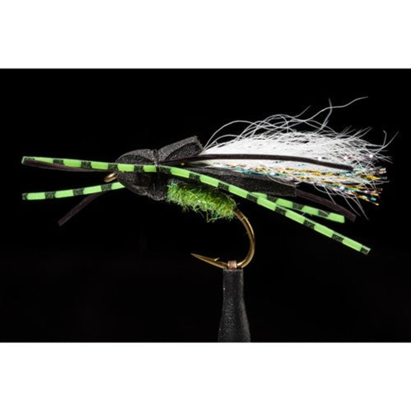 Manic Fly Flat Back Cicada|6 – BLACK|8 – BLACK