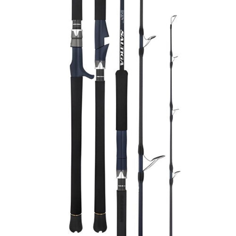 Daiwa 25 Saltiga J Jig Overhead Rod