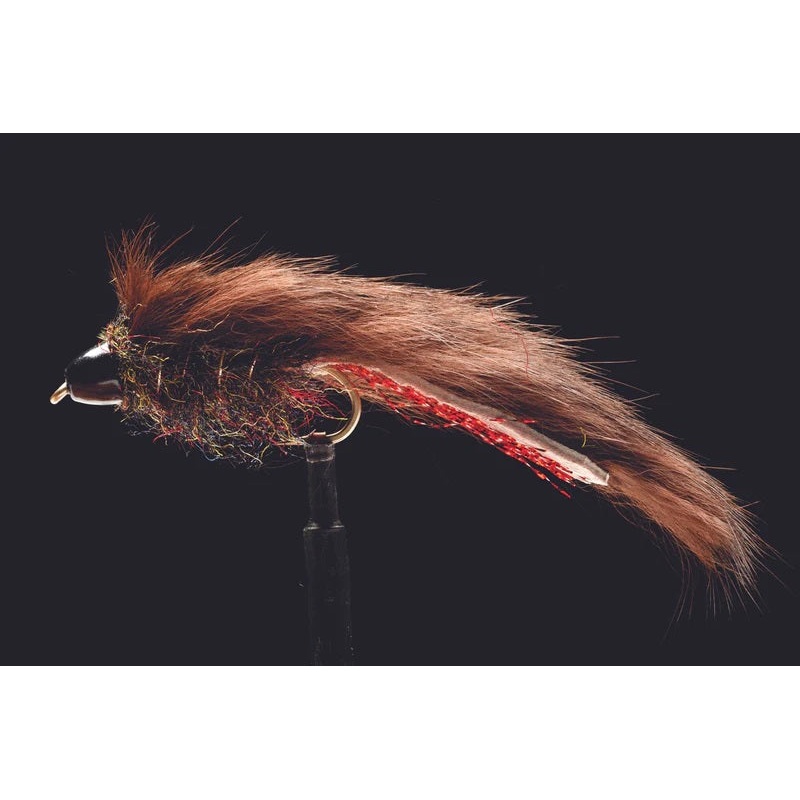 Manic Fly Dores Mr Glister|4 – BROWN