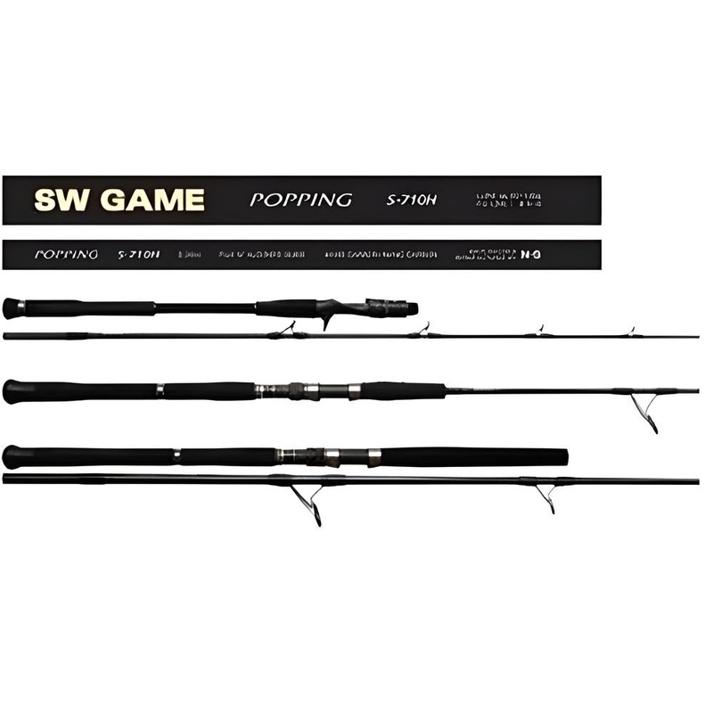 Ns Black Hole Sw Game Slow Jig Overhead Rod